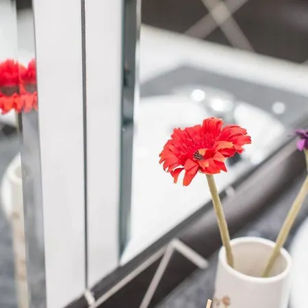 Venus - Renate * בודפשט